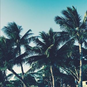 Meet your Posher, Ella